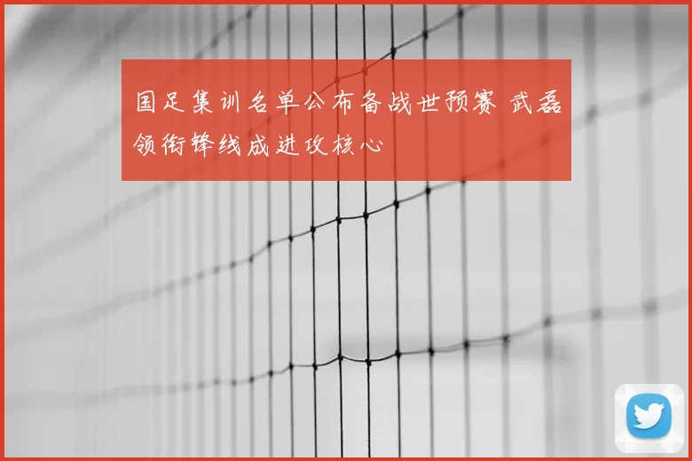 国足集训名单公布备战世预赛 武磊领衔锋线成进攻核心