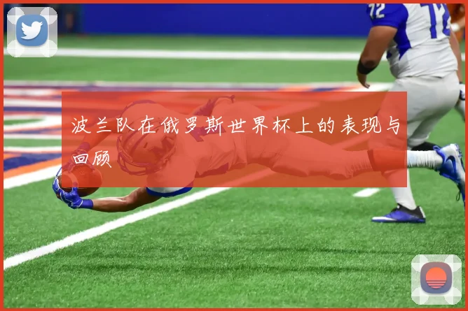 波兰队在俄罗斯世界杯上的表现与回顾